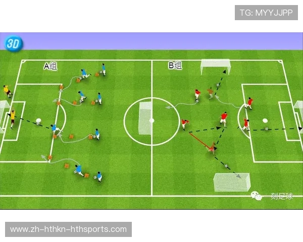 篮球训练中平衡体能与技术训练的有效方法及具体实施方案